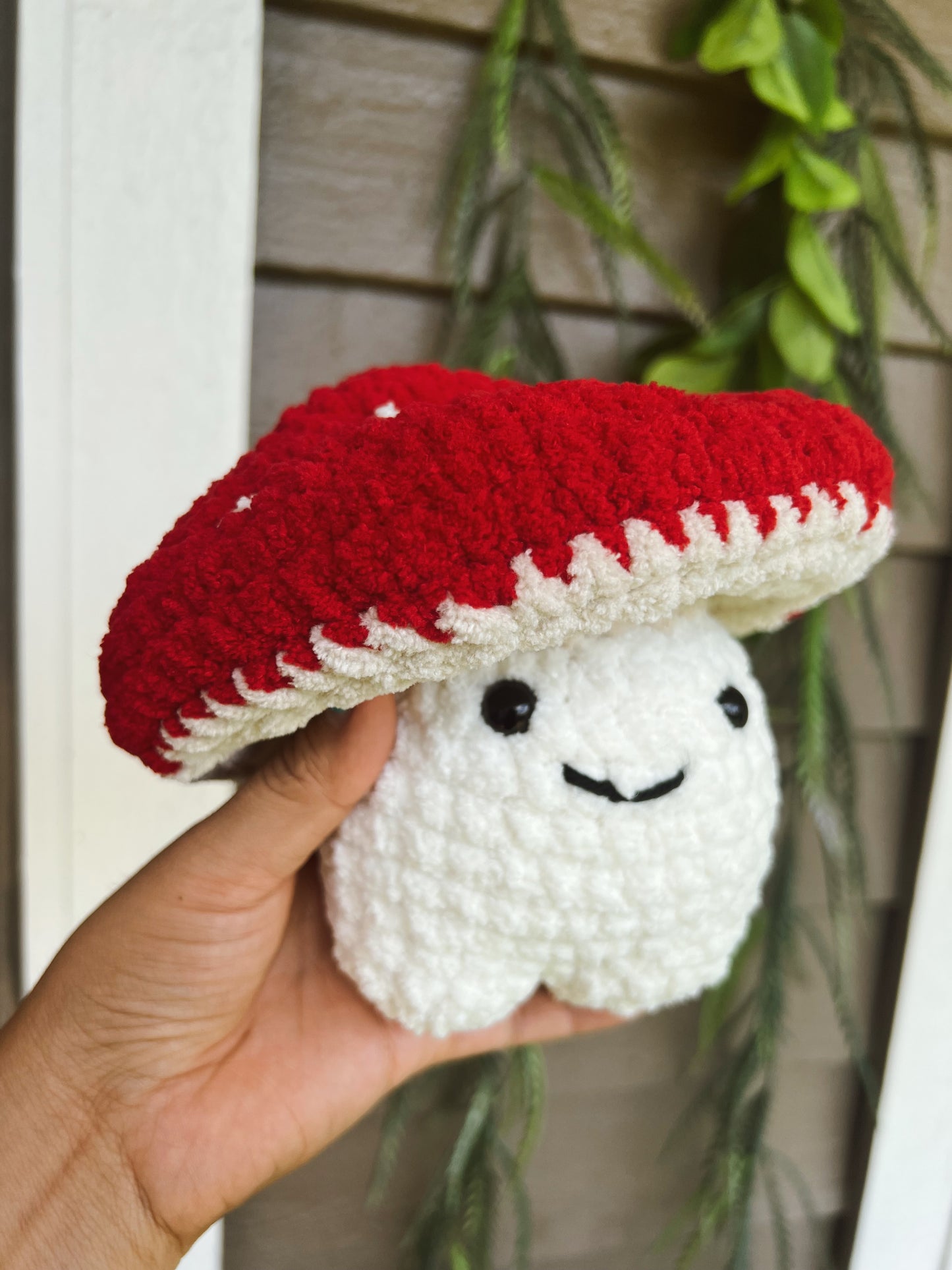 Mushroom guy