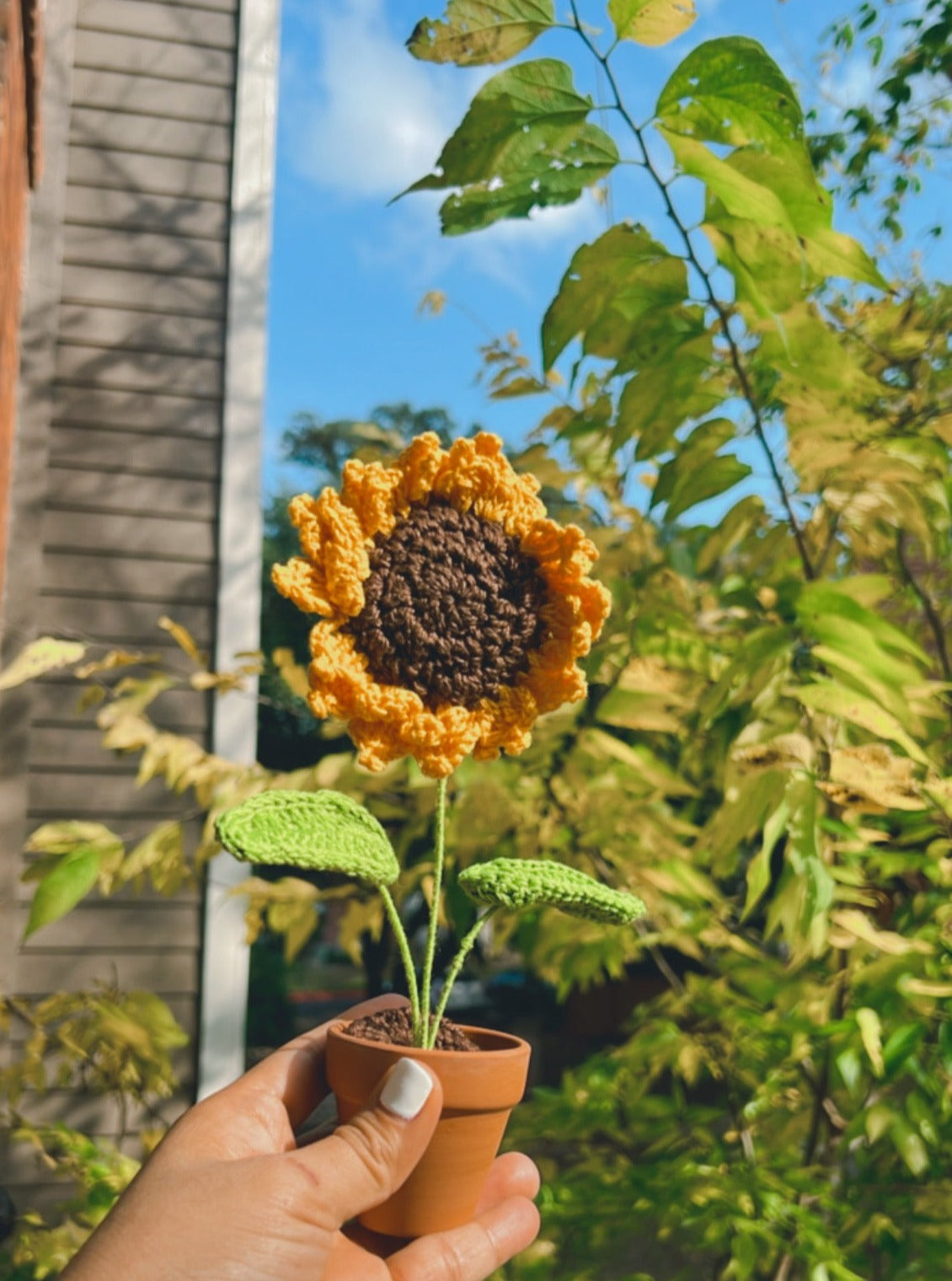Crochet Sunflower in a pot